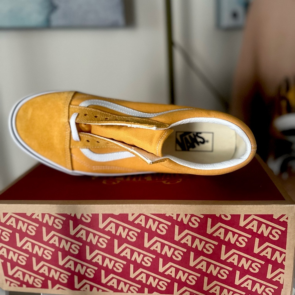 Vans Old Skool Skate Shoes